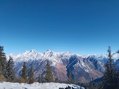 kauri pass trek